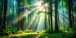 © lapeepon - Beautiful deep forest scene with a light beam in woodland perfect for a background, Forest, trees, nature, beauty, serene