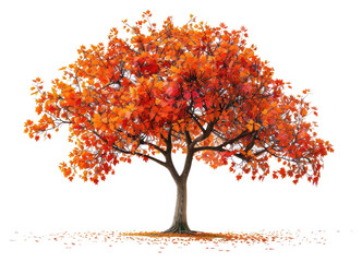 Wall Mural - png vibrant autumn tree illustration