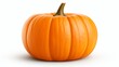 © Maksym - Bright orange pumpkin on white background for autumn decorations and harvest celebrations