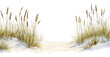© David - Coastal dune grass growing beside a sandy path at the beach isolated on transparent background