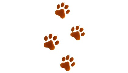 Wall Mural - dog footprint paw trail on a white background