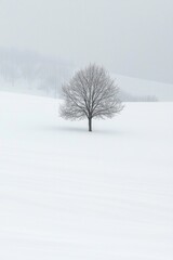 Wall Mural - A lone tree in a vast, open field of pure white snow 