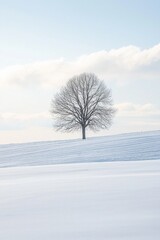 Wall Mural - A lone tree in a vast, open field of pure white snow 