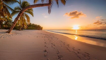 a quiet beach with white sands palm trees swaying gently in the breeze as the sunset creates a warm golden light