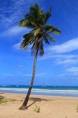 Canvas Print - Sabang beach in Palawan, Philippines