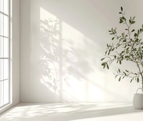 Leinwandbilder - From a window, shadows of leaves are cast across a light wall