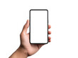 © Maestro - Person holding a smartphone with a blank screen, cut out transparent