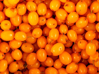 Close-up of bright orange sea buckthorn berries tightly clinging to a branch with green leaves. The berries look fresh and juicy, creating a rich and attractive visual