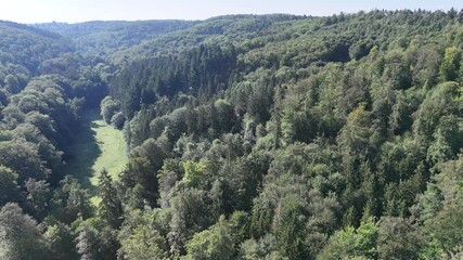 Wall Mural - Waldgebiet im Odenwald