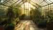 © AURA COLLECTIONS - A sun-drenched walkway in a greenhouse with a variety of lush potted plants and a white door.
