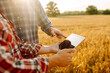 © maxbelchenko - Two farmers discussing crop data while using tablet in a golden wheat field during sunset. Smart farm.