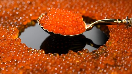 Wall Mural - Red Caviar in a spoon over black background round frame. Close-up of salmon fish roe caviar. Delicatessen. Texture of trout caviar. Backdrop. Seafood rotating