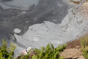 Wall Mural - Russia Kamchatka mud volcanoes in the Uzon caldera on a summer cloudy day