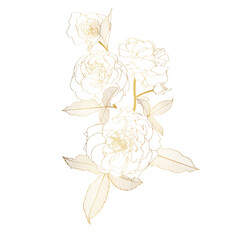 Wall Mural - Golden roses flowers bouquet and leves isolated on white background. 