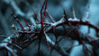 © Oleksiy - The crown of thorns suffering of Jesus Passion Week concept