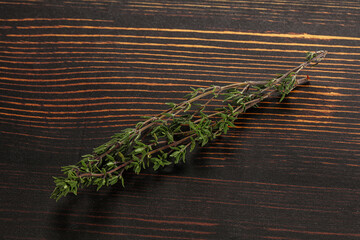 Sticker - Thyme - aromatic seasoning herbal plant