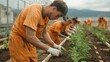 © Jayda_ArtistryHub - Inmates working on a community garden project in a prison yard, Prison rehabilitation, outdoor activity