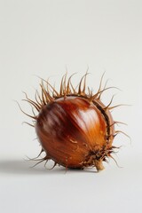 Canvas Print - Close-up shot of an onion on a white background