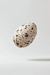 Wall Mural - A speckled egg soaring through the air