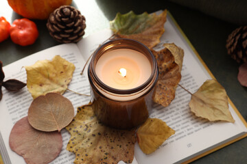 Wall Mural - Burning candle, dry leaves and open book on green background, closeup. Autumn atmosphere