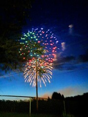 fireworks in the sky