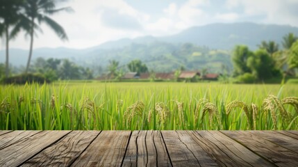 Wall Mural - Blurry rice field backdrop with a wooden tabletop in the daytime for product display or design layout.