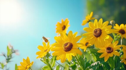 Poster - Blooming Yellow Flowers with a Bee in Flight Under a Sunny Sky