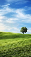 A panoramic view of rolling grass hills, with a single tree standing tall against the horizon, ideal for peaceful backgrounds