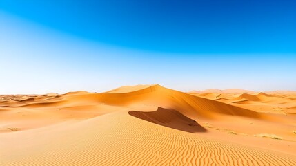 Wall Mural - A vast expanse of golden sand dunes under a clear blue sky, showcasing the serene beauty of the Sahara Desert