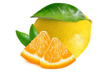 Wall Mural - Lemon and orange with leaves on isolated white background