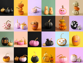 Wall Mural - Collage with painted pumpkins on color background