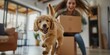 © LukaszDesign - Woman with a box, smiling and a playful puppy in a new home, symbolizing the joy of moving into a dream property and homeownership success