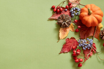 Flat lay frame with colorful autumn leaves and pumpkins on a green background