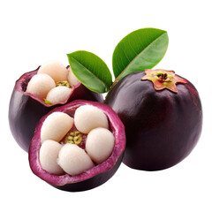 Purple rinded fresh mangosteen fruit, transparent