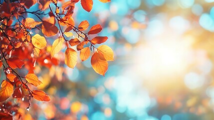 Canvas Print - Autumn Leaves on Branch with Sunlit Bokeh Background