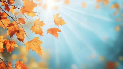 Canvas Print - Sunlit Autumn Leaves Against a Blue Sky