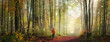 © Smileus - Solitary walk in atmospheric woodlands with light fog and sunshine. Panoramic landscape shot with a man hiking on a path.