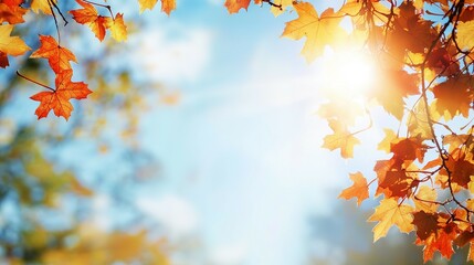 Canvas Print - Autumn Leaves Against a Bright Blue Sky