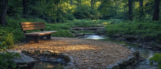 Sticker - A Wooden Bench By a Tranquil Stream in a Lush Forest