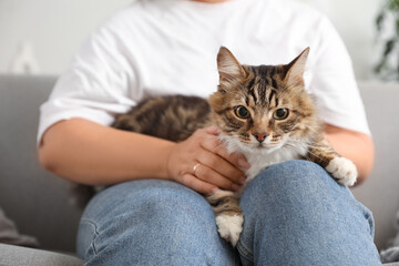 Wall Mural - Beautiful mature woman with cute cat sitting on sofa at home, closeup