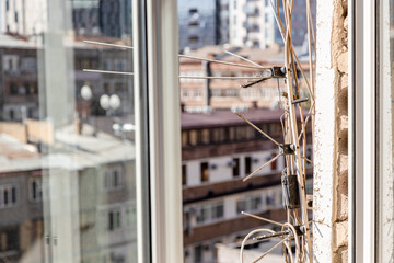 Poster - open window and television and radio antennas