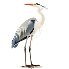 Canvas Print - Heron Time element animal cartoon isolated whitebackground 16:9