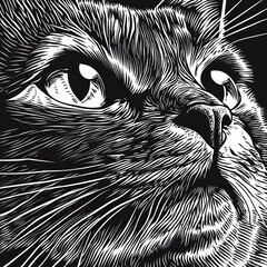 Wall Mural - Black and white illustration of a cat's muzzle with clear eyes and nose. Suitable for cover, postcard, interior design, posters, brochures or presentations.