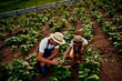 © StarDweller/peopleimages.com - Father, daughter and work on farm for bonding, talking and development with agriculture sustainability. Man, girl and help on homestead for teaching, learning or farming outdoor with crops or plants