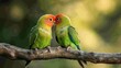 © phattharabodin - A pair of lovebirds sitting close together on a branch, their beaks gently touching.