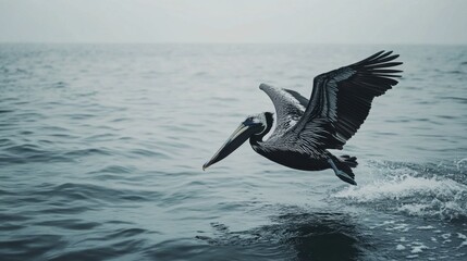 A pelican diving into the ocean, wings tucked in as it prepares to catch a fish.