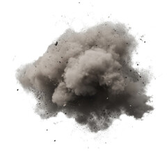 Wall Mural - A cloud of dust and debris is floating in the air