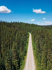 Aerial View of Lush Green Forest in Spring