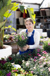 © JackF - Young female saleswoman in uniform holding pot of garden carnation in flower shop