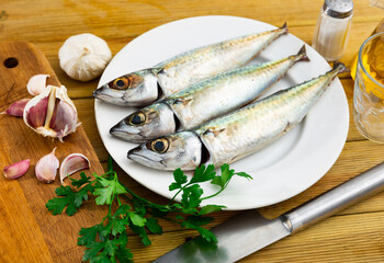 Wall Mural - Atlantic mackerel fish served raw to table..